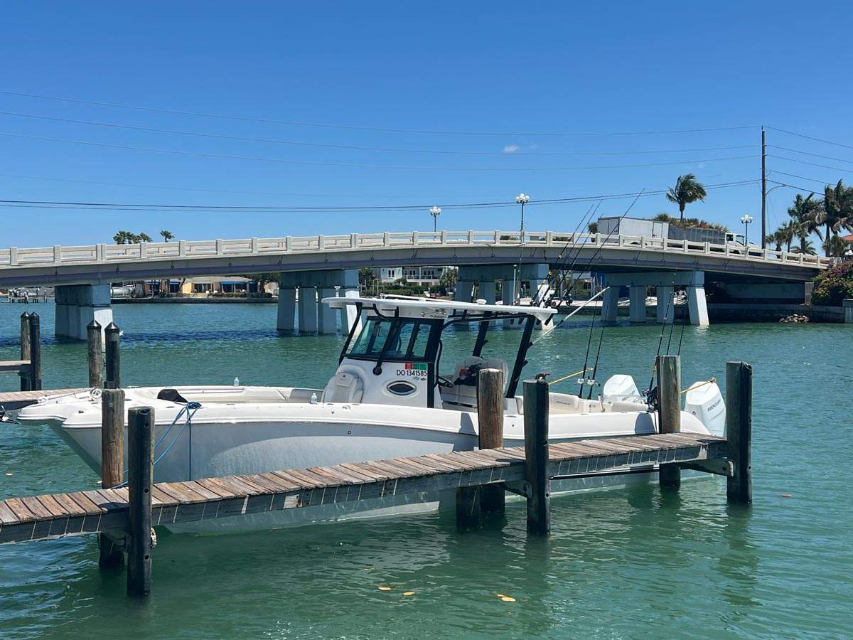 Phat Kat - 2024 32ft World Cat